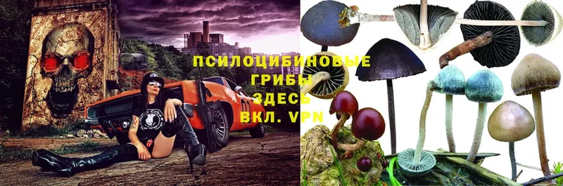 Виды наркотиков купить Кувандык Гашиш  Кокаин  Мефедрон 